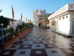DSCN2181